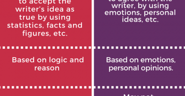 Difference between essay and reports