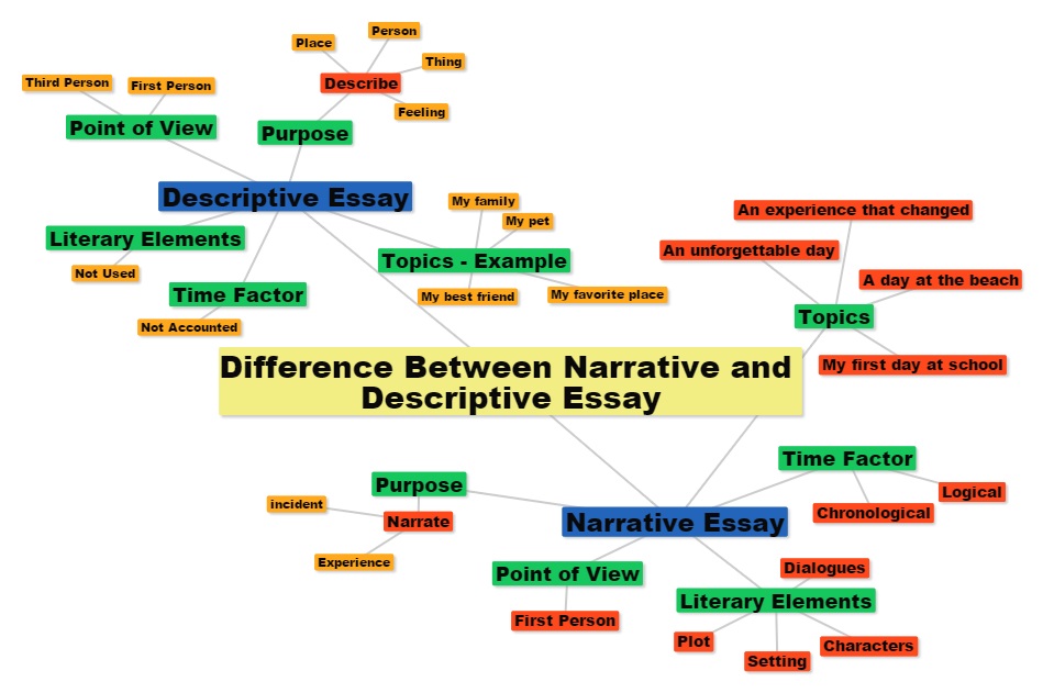 Difference between essay and report writing