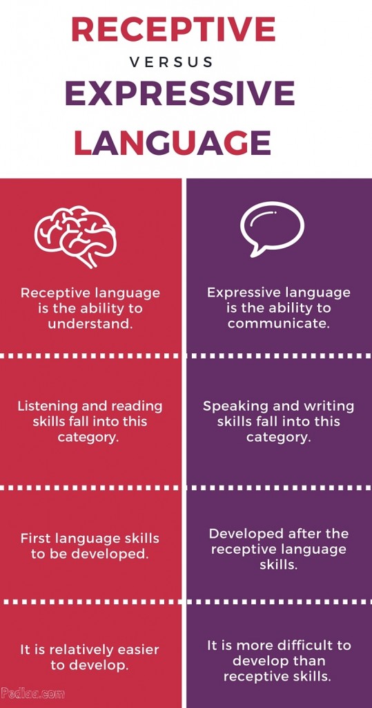 Difference Between Receptive And Expressive Language 6751