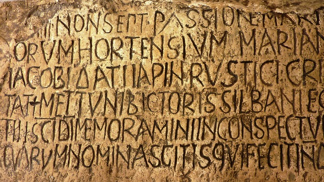 Difference Between Greek And Latin 119