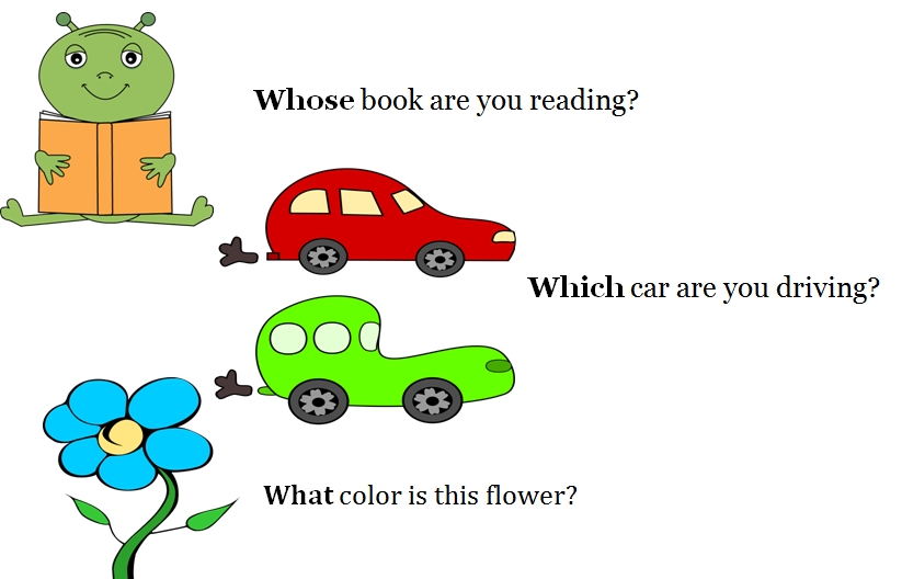 Difference Between Interrogative Pronoun And Interrogative Adjective