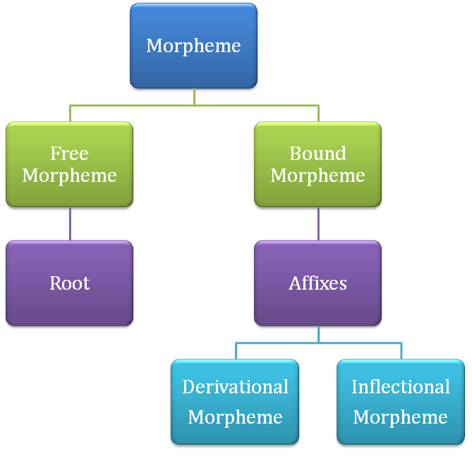 Difference Between Morpheme and Allomorph