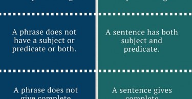 phrase sentence difference between pediaa tag grammar