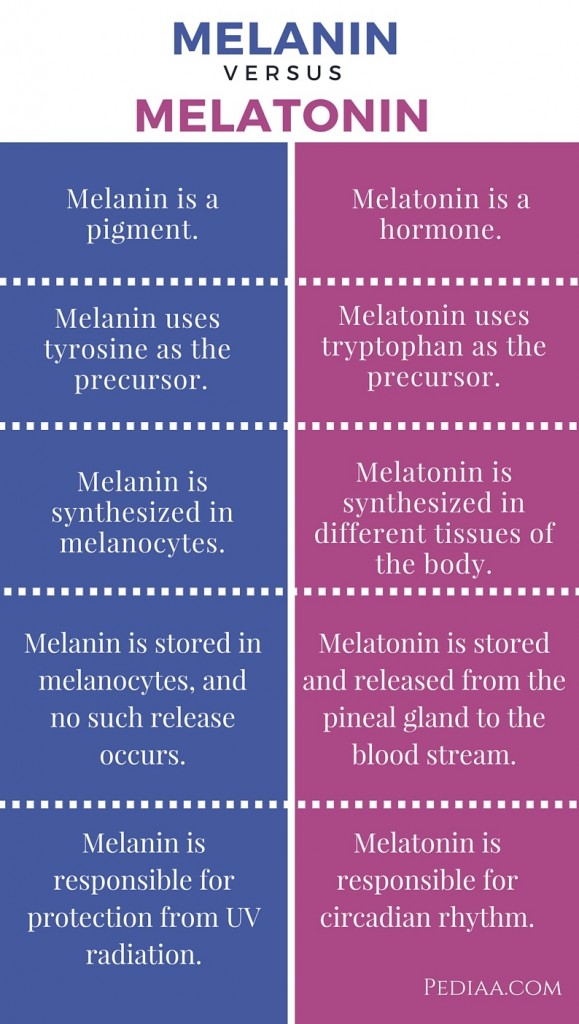 Difference Between Melanin And Melatonin