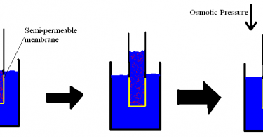 oncotic osmotic pressure difference between pediaa