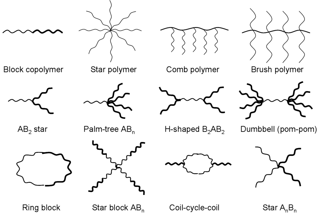 Monomer And Polymer Chart