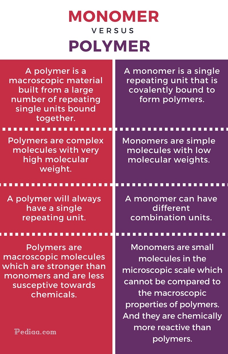 Monomers And Polymers Chart