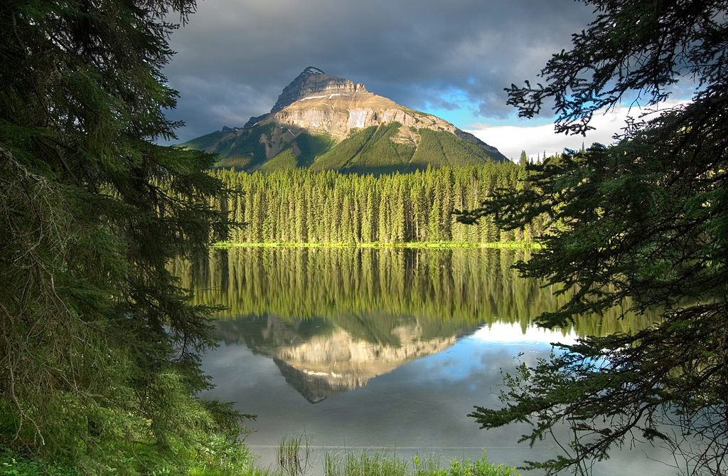 difference-between-mountain-and-plateau