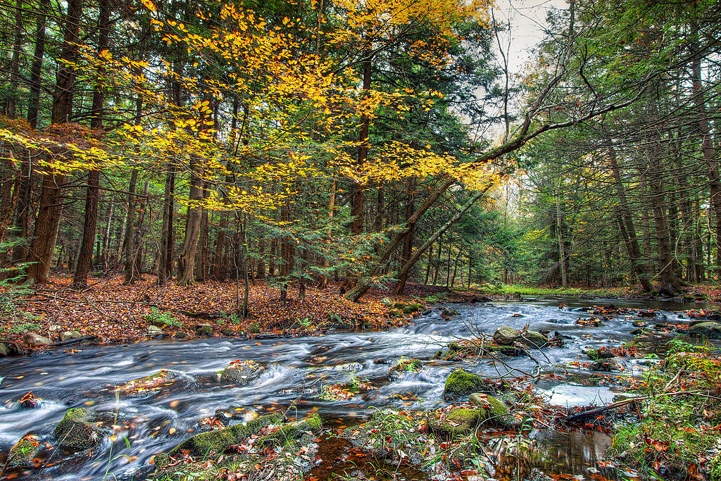 Difference Between Creek And Stream