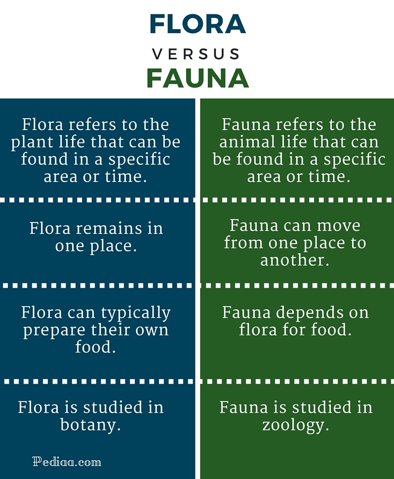 Difference Between Flora and Fauna