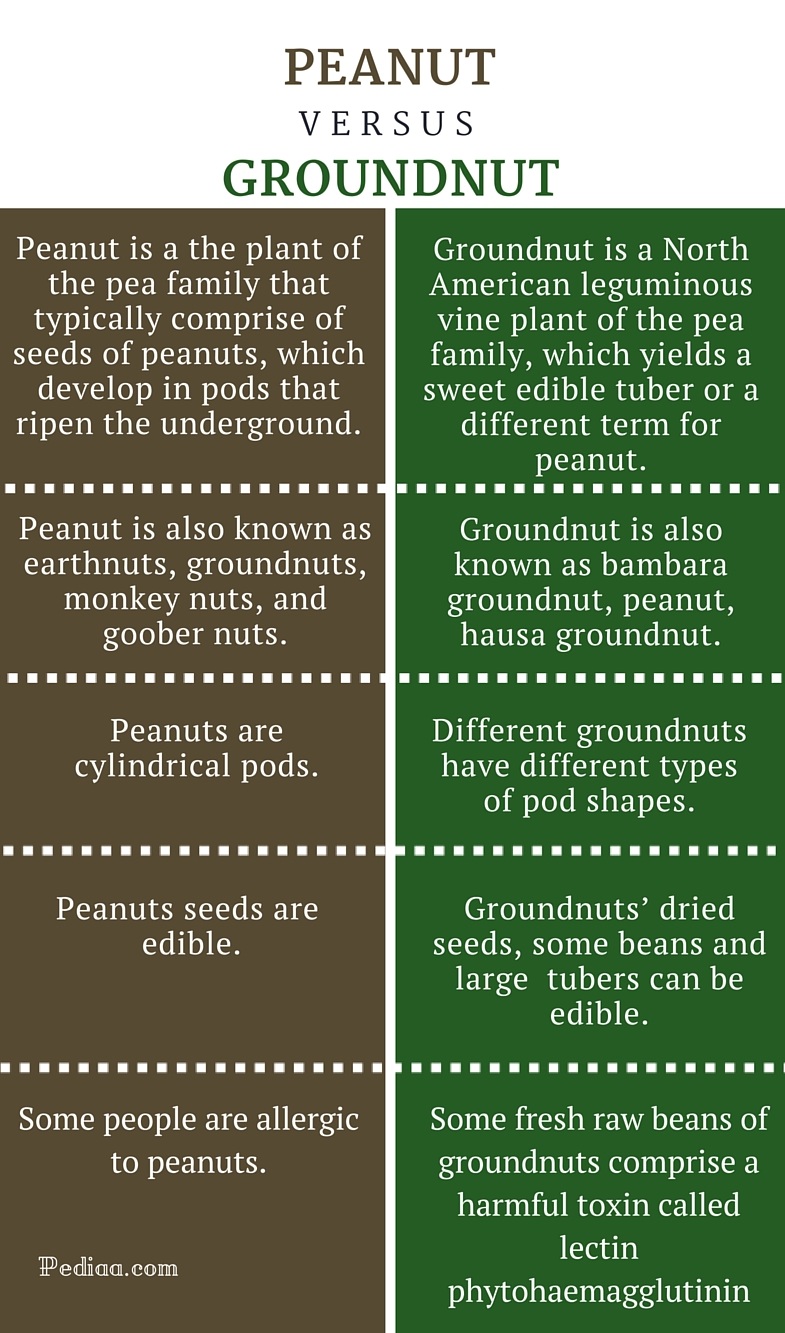  Difference Between Peanut And Groundnut 