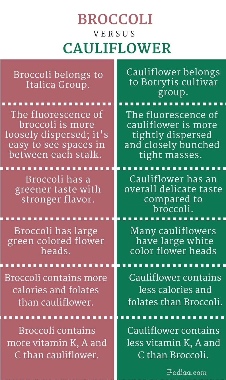 Difference Between Broccoli and Cauliflower
