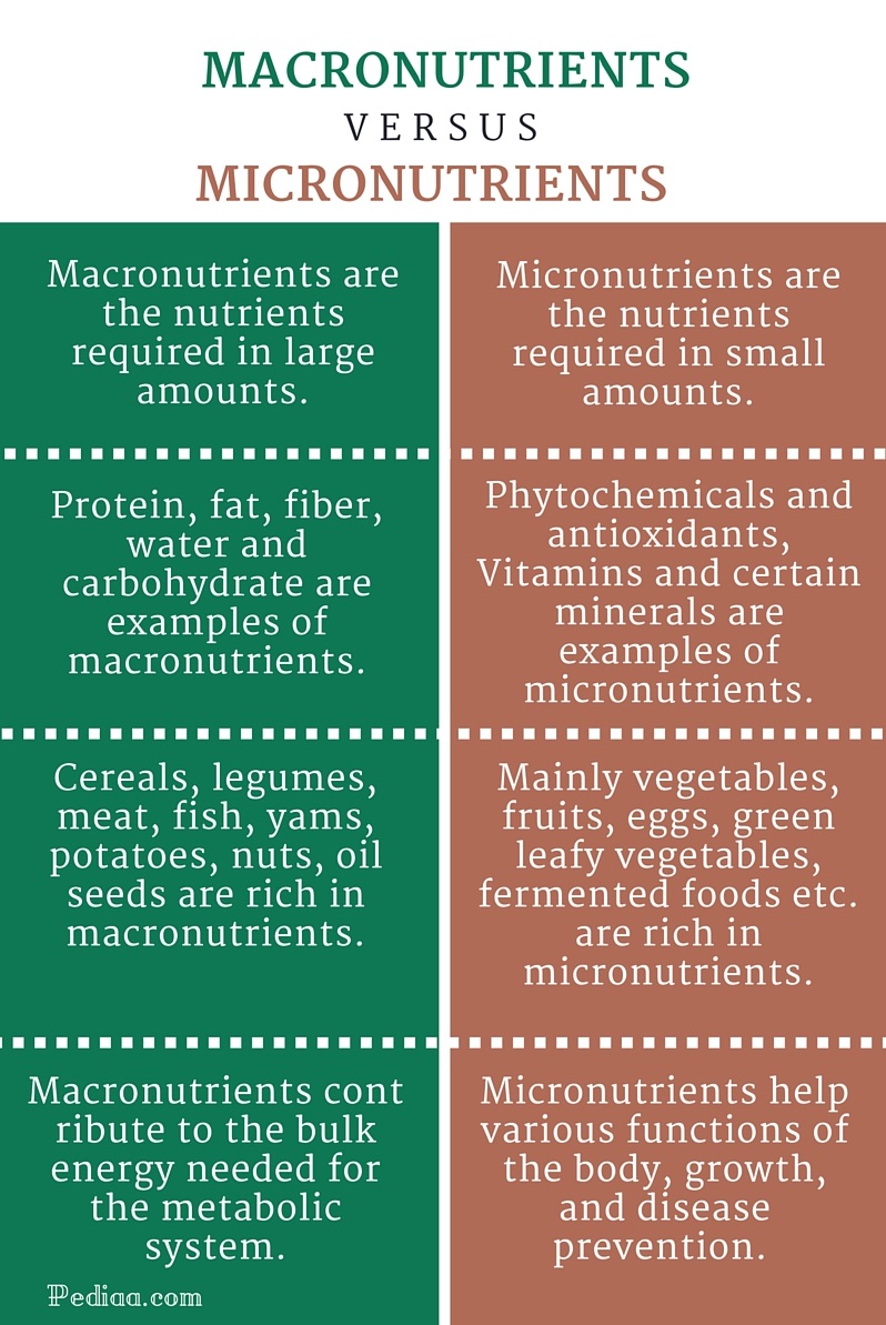 macro-micro-nutrition