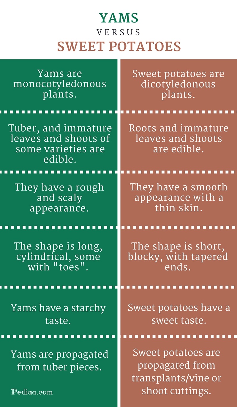 Difference Between Yams And Sweet Potatoes,Best Canned Cat Food For Weight Gain