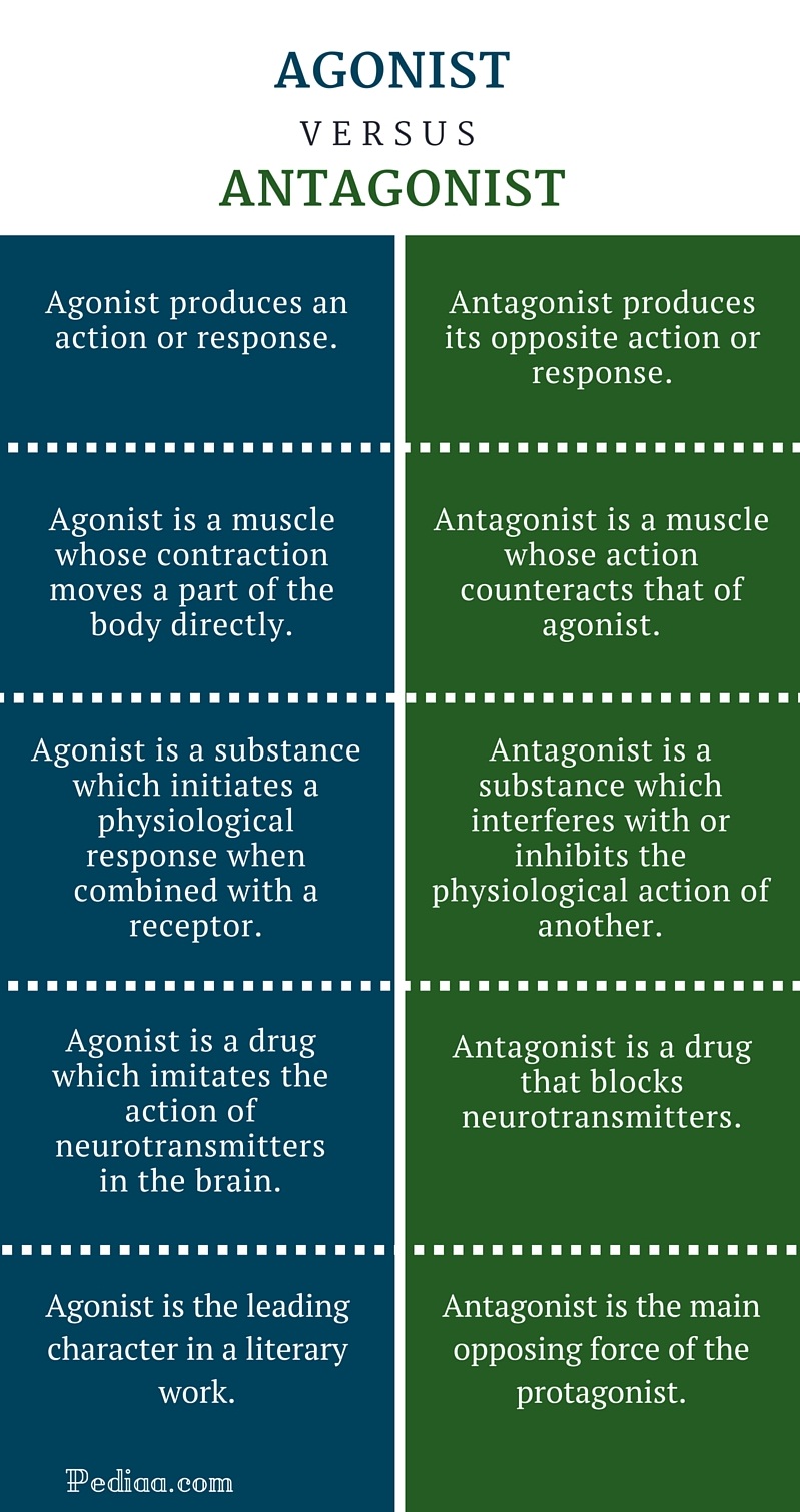 difference-between-agonist-and-antagonist