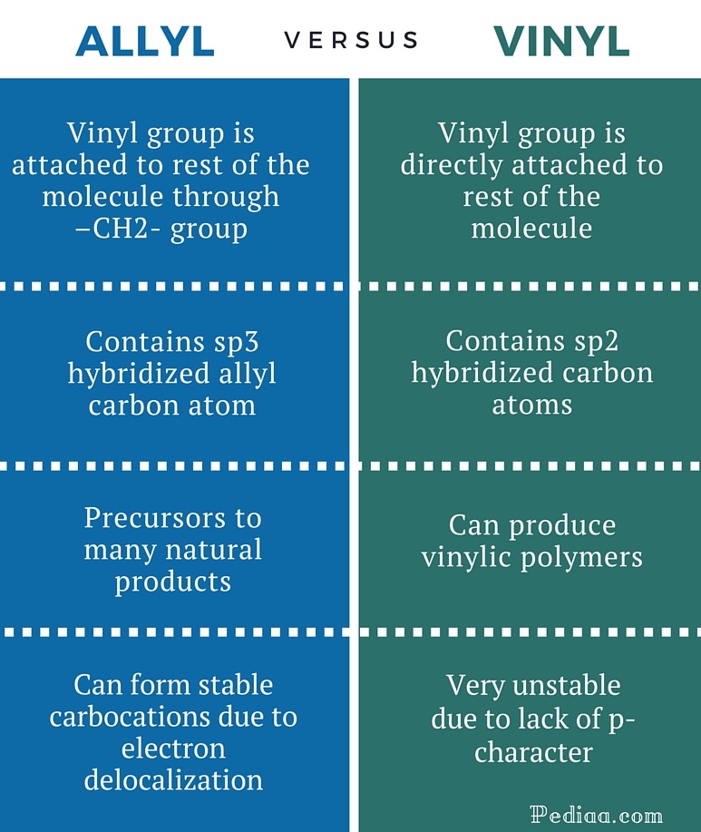 Difference Between Allyl And Vinyl