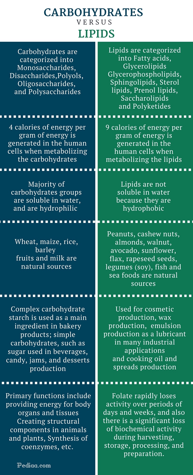 difference-between-carbohydrates-and-lipids-comparison-of-chemical