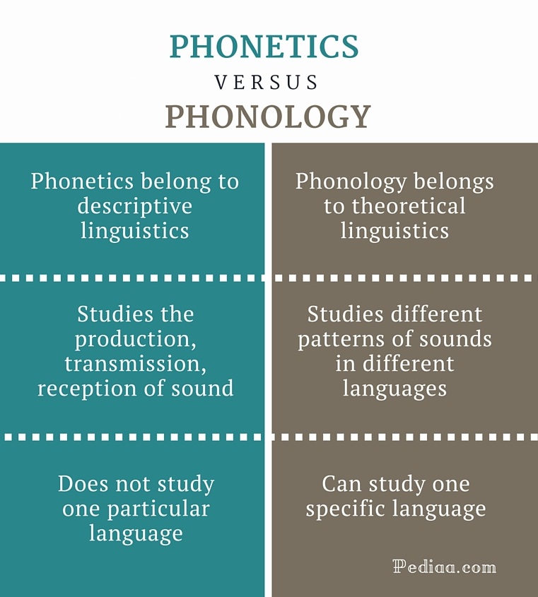 What Is Phonetics And Phonology Pdf