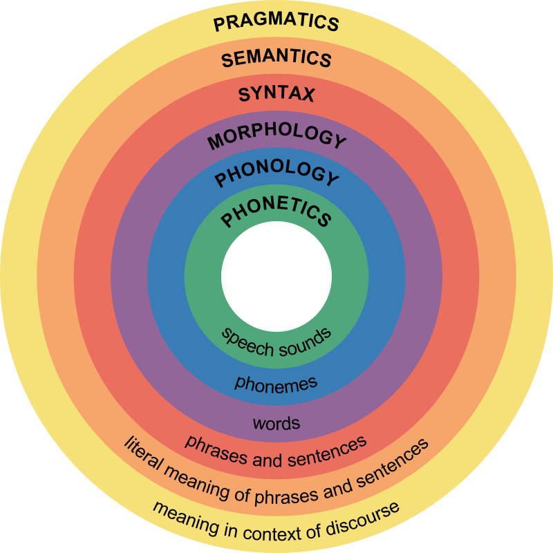 Main Difference - Articulation vs Phonology 