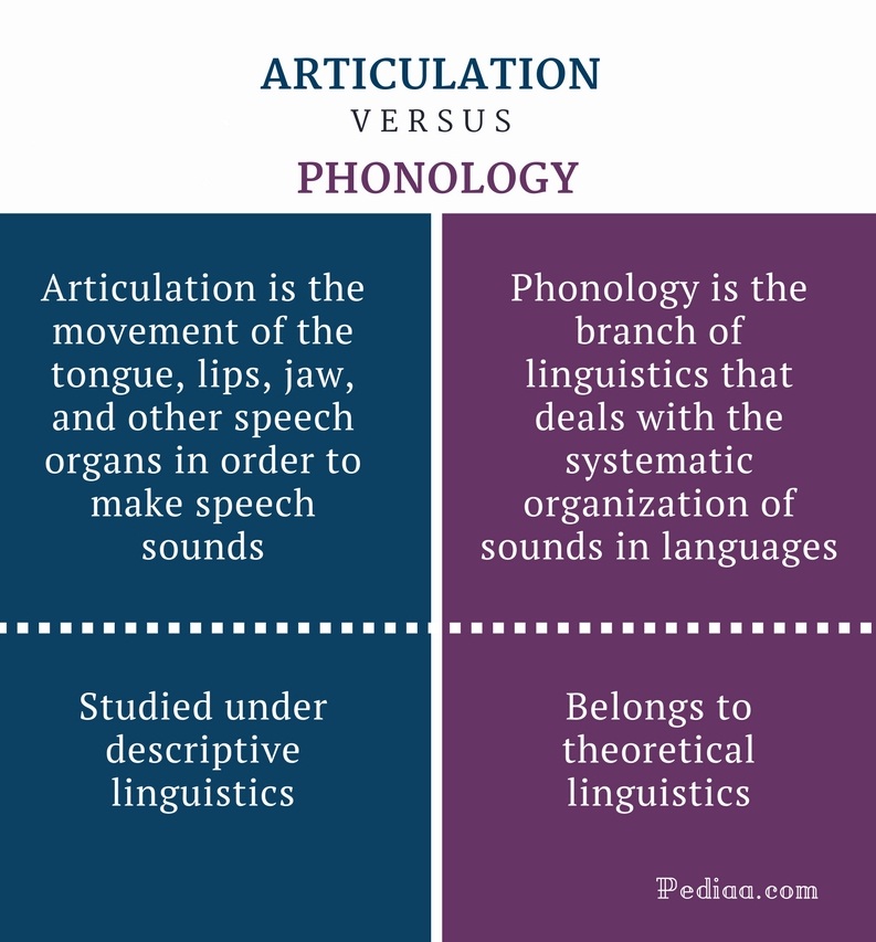 difference-between-articulation-and-phonology-definition-meaning