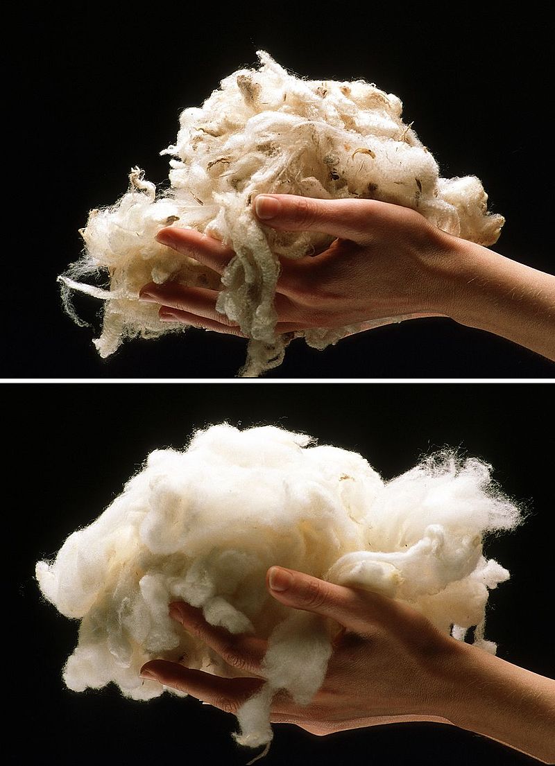 difference-between-fleece-and-wool-pediaa-com