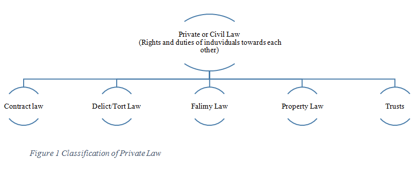 What Is Private Law Branches Features Of Private Law Remedies 