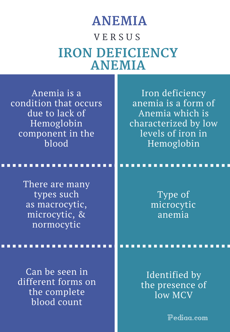 Difference Between Anemia And Iron Deficiency Clinical Features Causes Signs And Symptoms 9760