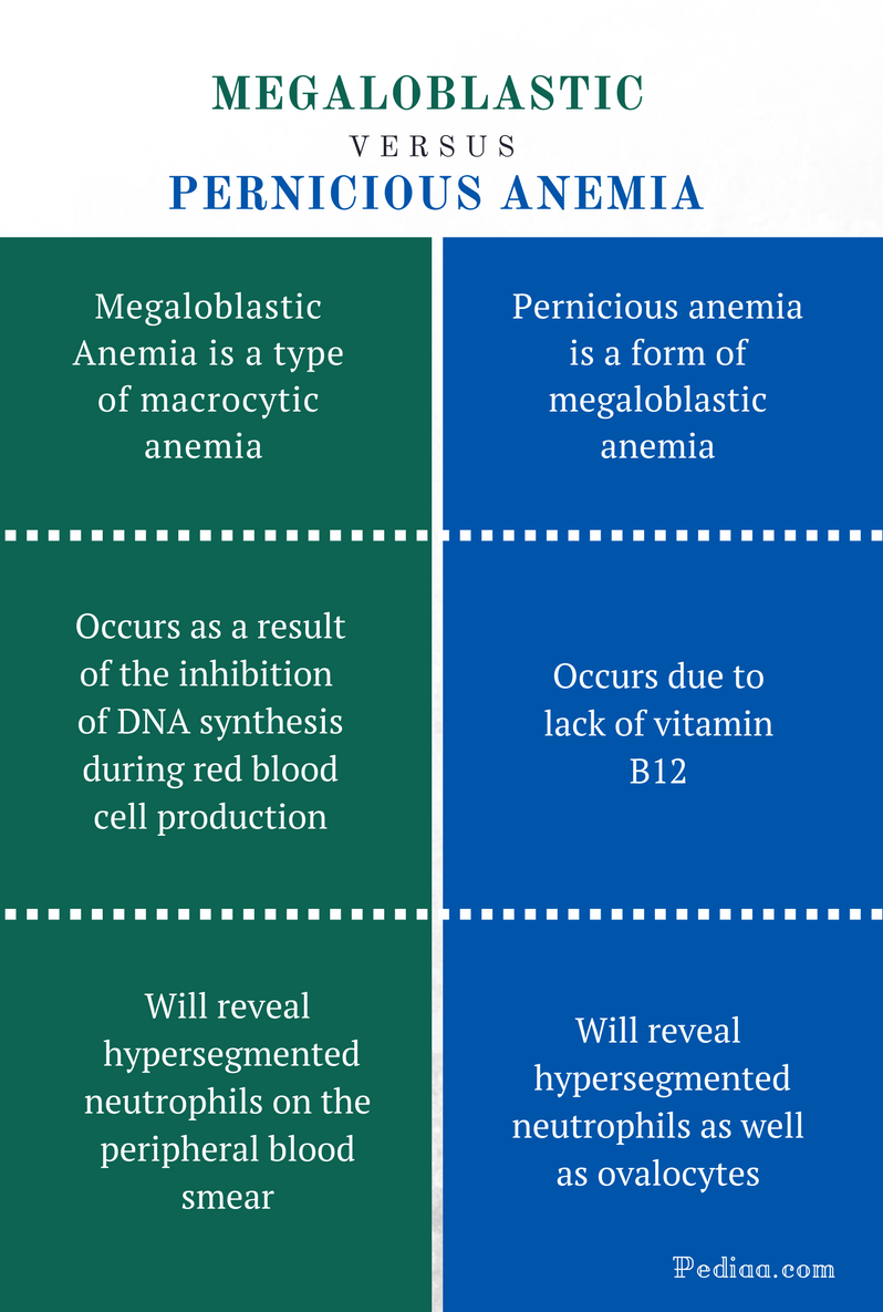 Difference Between Megaloblastic and Pernicious Anemia Causes, Signs