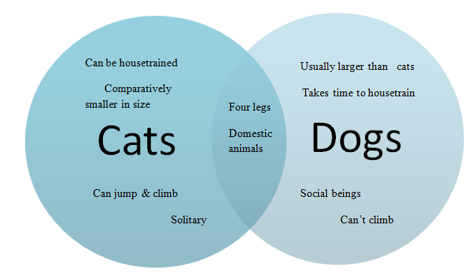 Compare and contrast dogs and cats