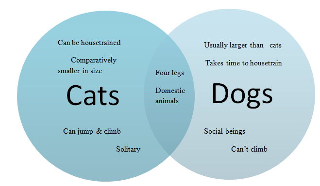 Compare contrast dogs cats essay