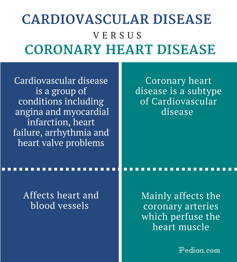 Heart Attack An overview