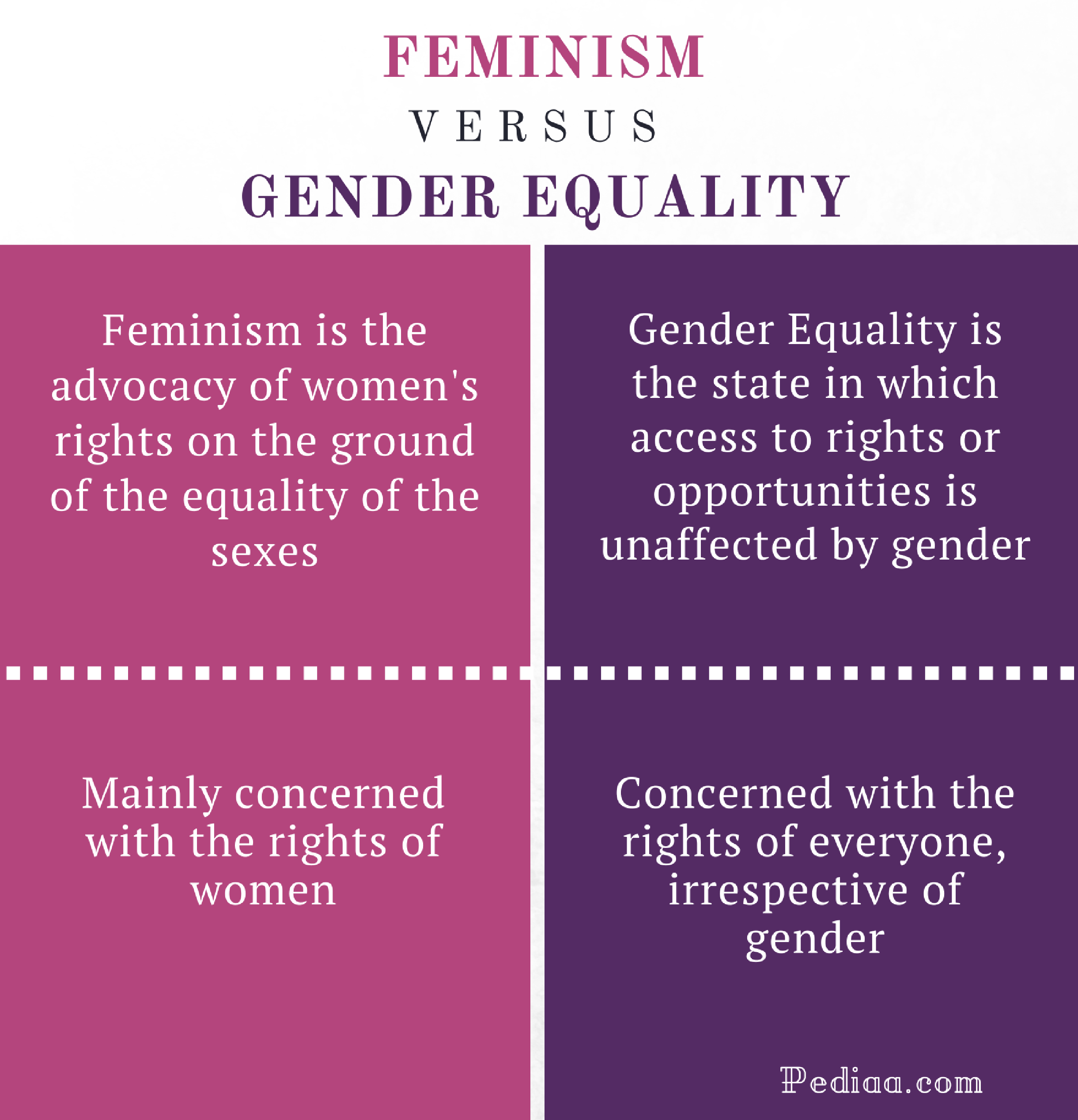 difference between feminism and gender equality