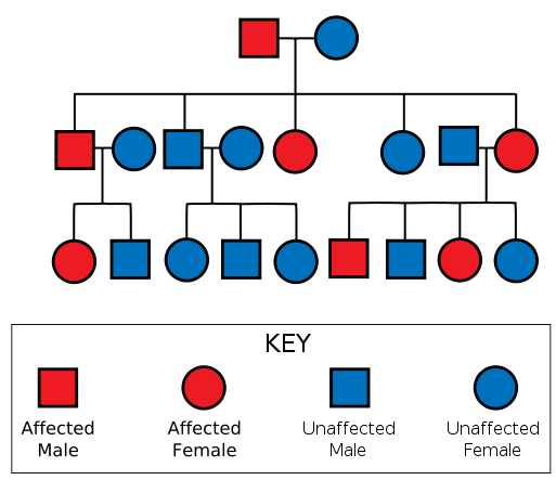 difference-between-genetic-and-hereditary-diseases-definition-types