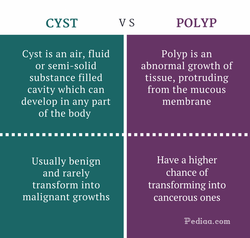 Know Your Growths The Differences Between A Polyp Cyst And Fibroids Hot Sex Picture