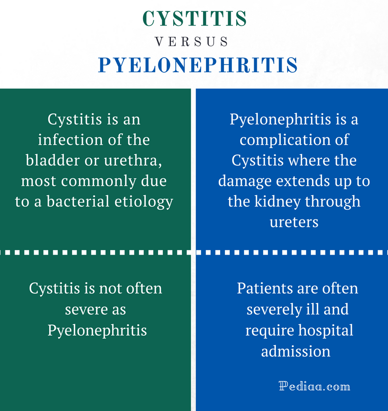 prostatitis vs cystitis
