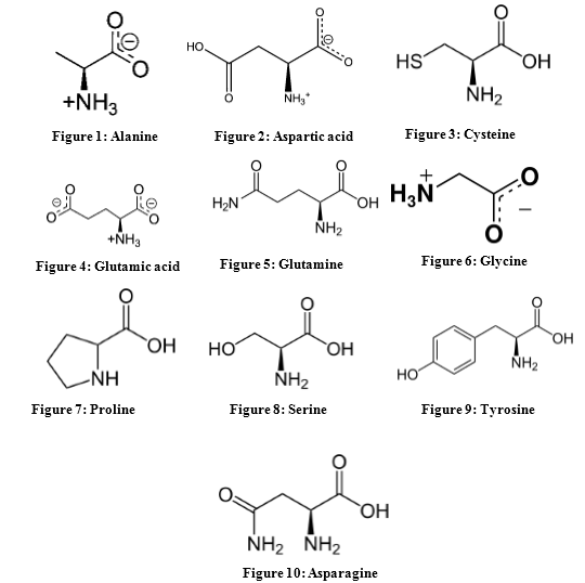 Amino Acid Structure Chart Pdf