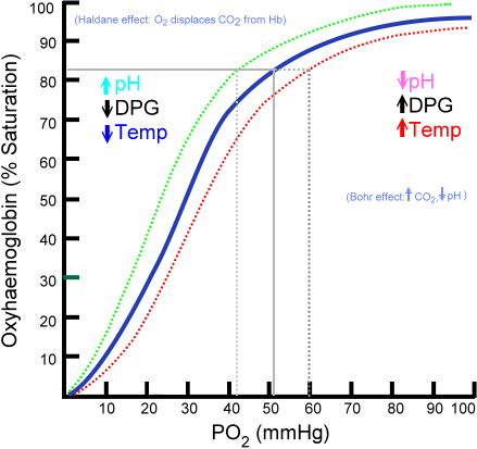 Main Difference - Hypoxia vs Hypoxemia