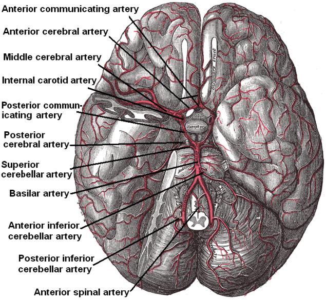 Difference Between Hypoxia and Hypoxemia