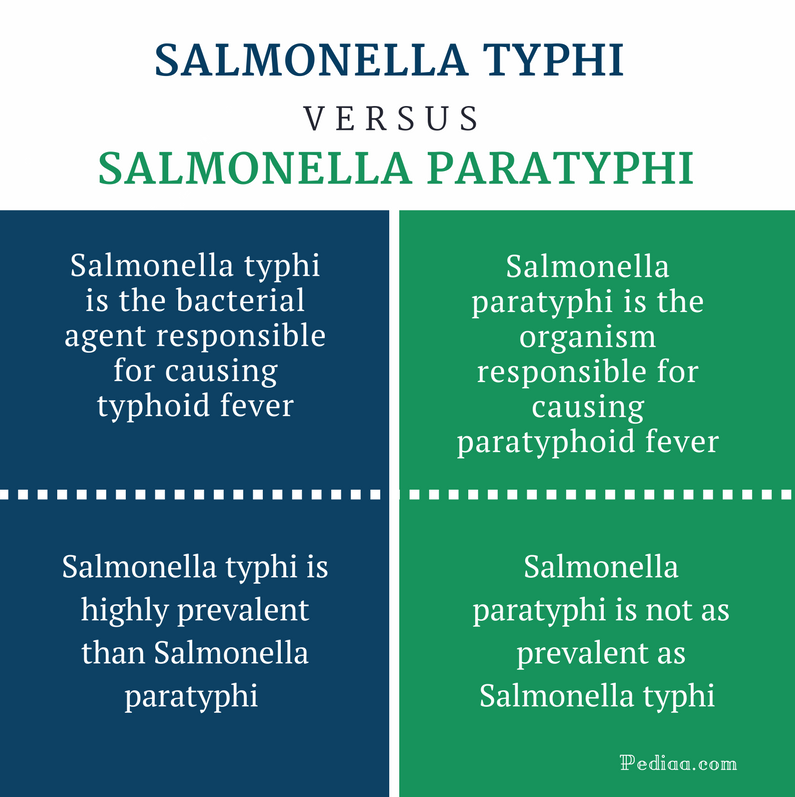 salmonella-infection-rates-decreased-in-2016-says-cdc