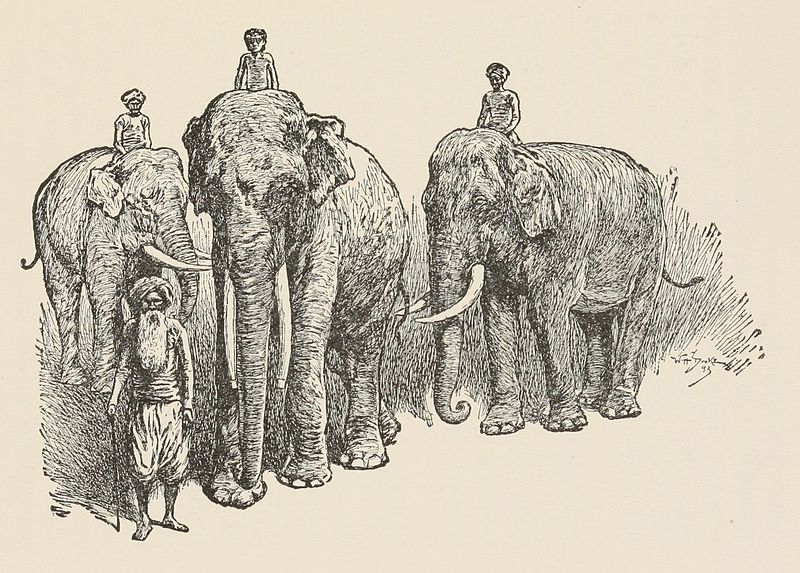 What is the Primary Difference Between Colonial and Postcolonial Literature