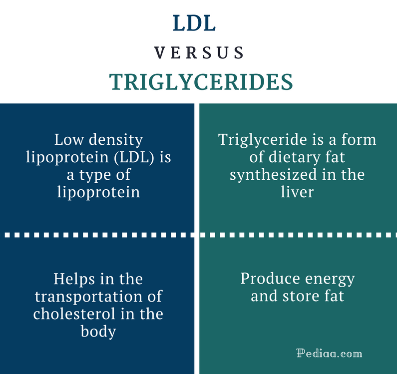 Difference Between LDL and Triglycerides Definition, Risks, How to