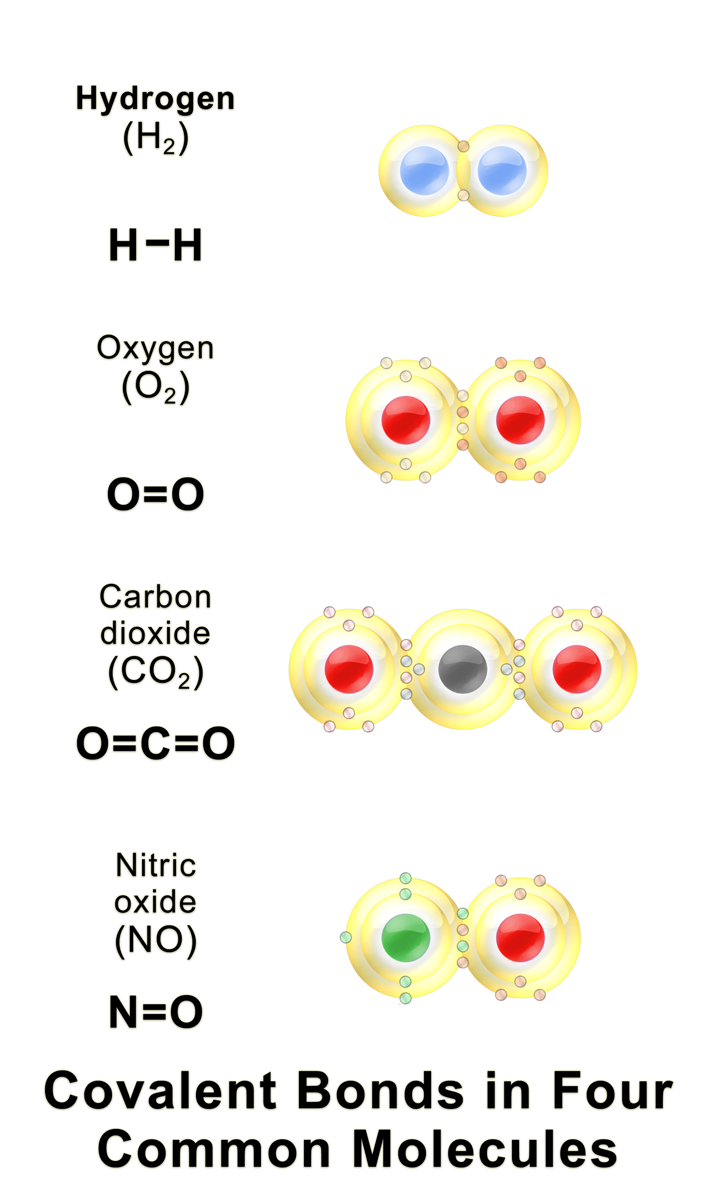 how-are-covalent-bonds-formed-concept-of-chemical-bonds-basis-of