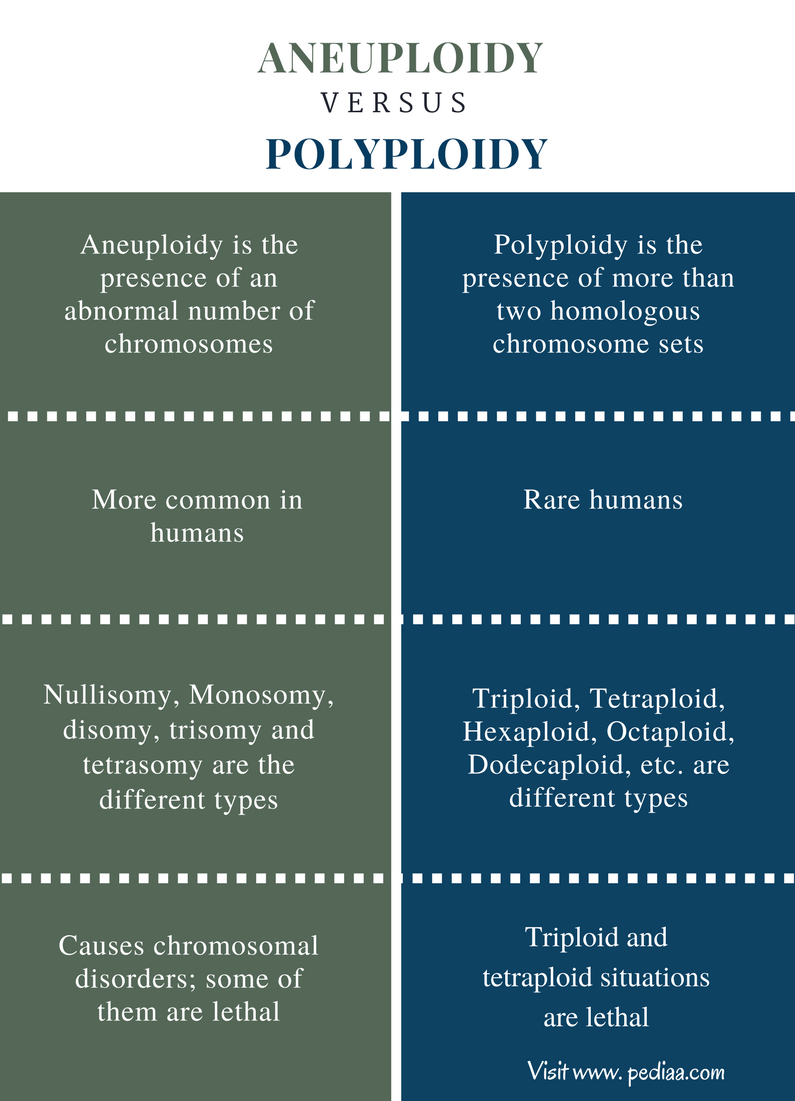 Difference Between Aneuploidy And Polyploidy Definition Characteristics Disorders