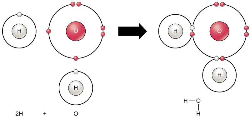 difference-between-atom-and-molecule-definition-structure-bonding