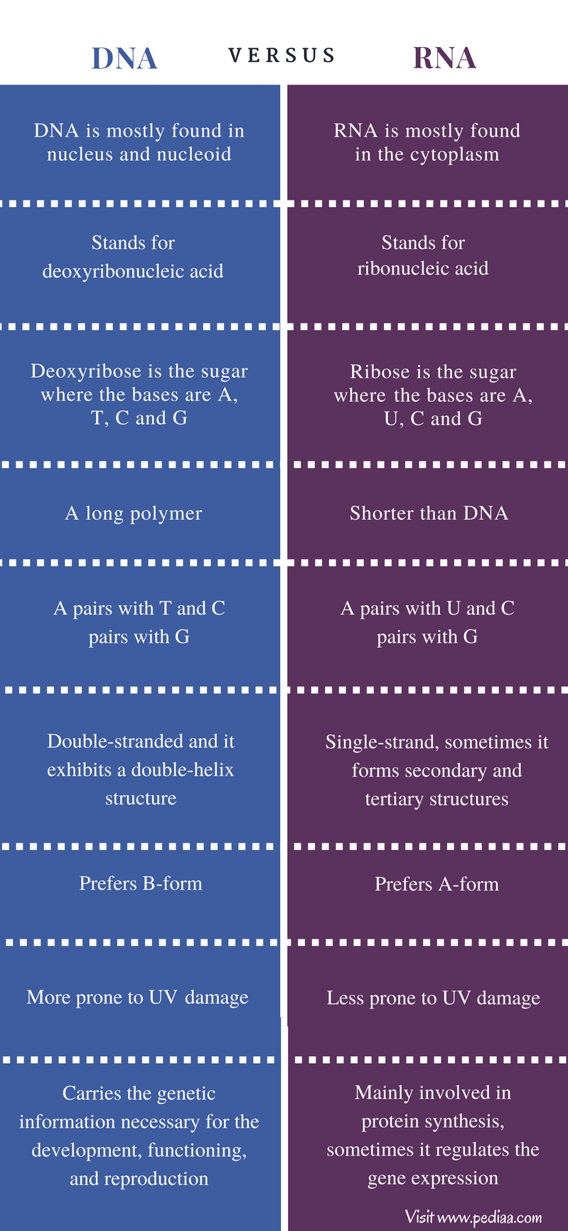 Difference Between Dna And Rna Structure Characteristics Functions Comparison