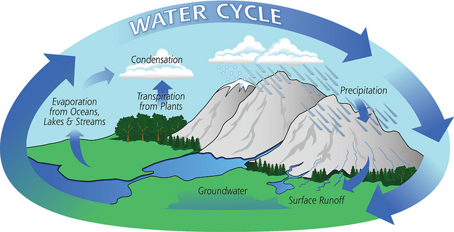 Key Difference - Evaporation vs Distillation