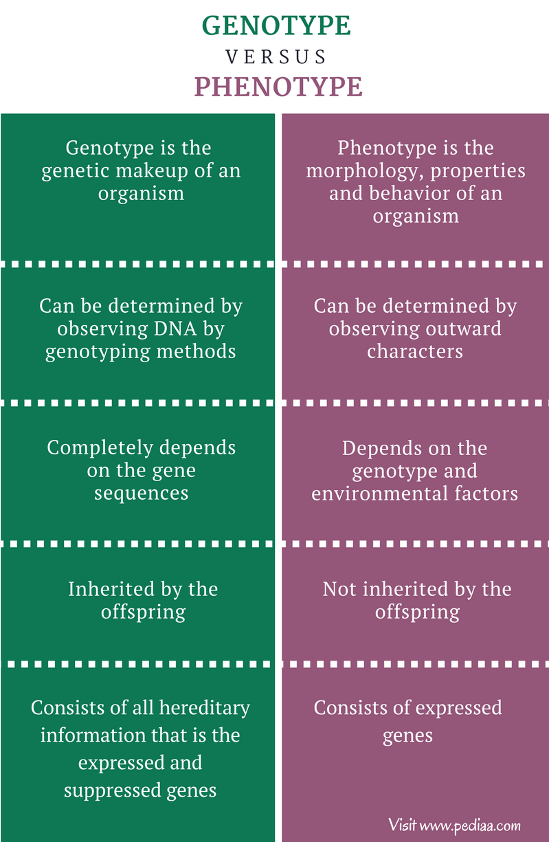 Difference Between Genotype And Phenotype Pediaa