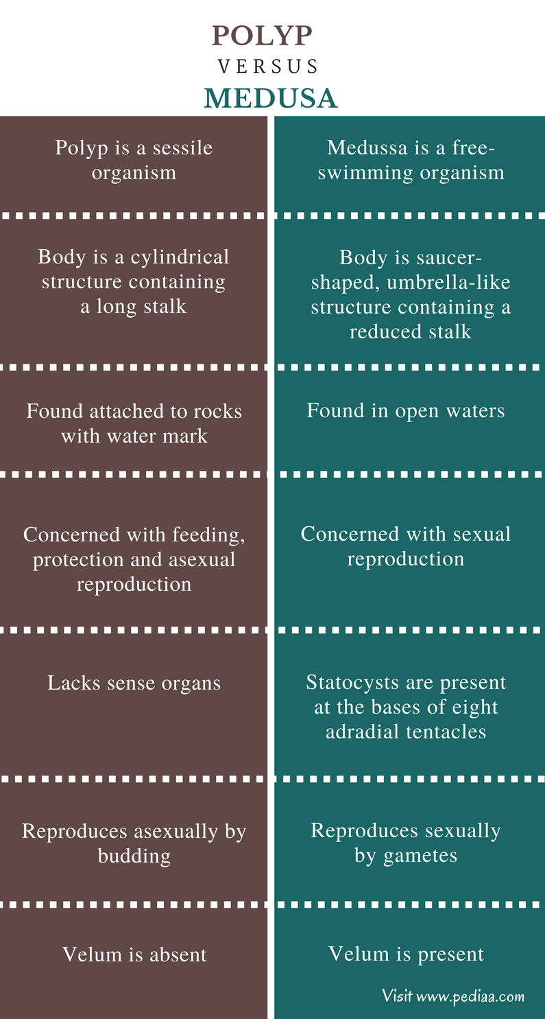 Compare and Contrast One Body of