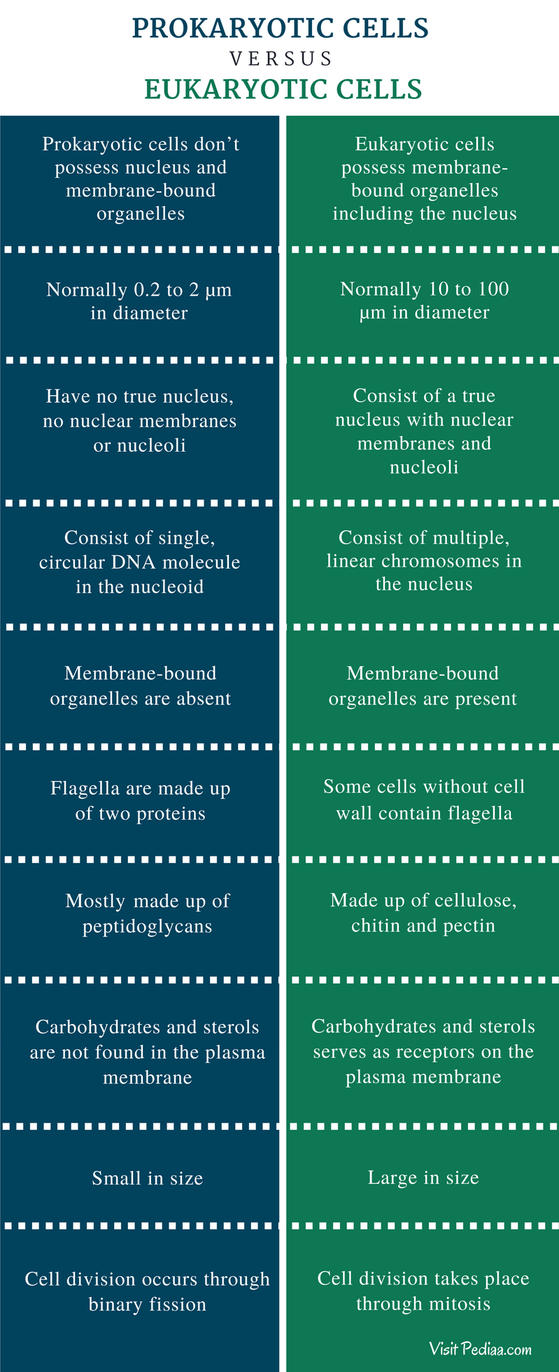 difference-between-prokaryotic-and-eukaryotic-cells-structure