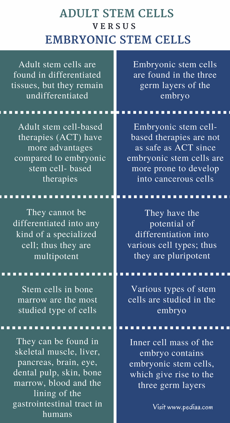 Embryonic Vs Adult Stem Cell Research